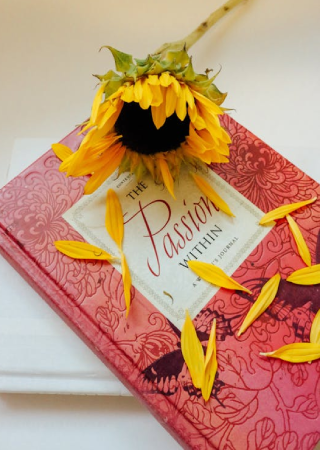 Lorem-Ipsum-2.png Lorem Ipsum 2